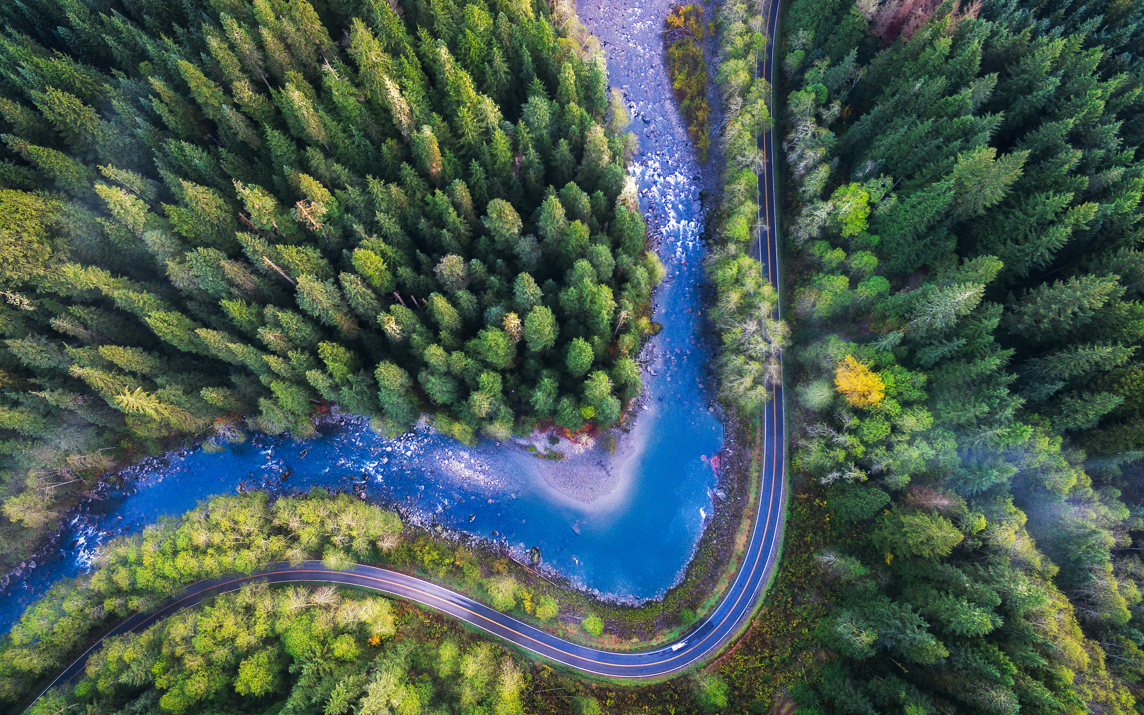 Mountain Loop Highway Drone View 4K5985644